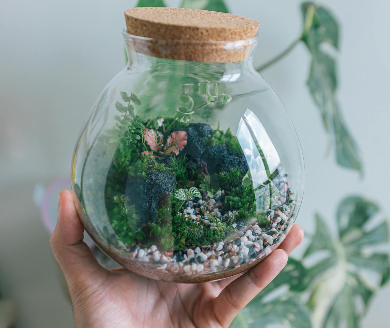 Close-up of a lush terrarium in a glass jar, showcasing handcrafted botanical art.