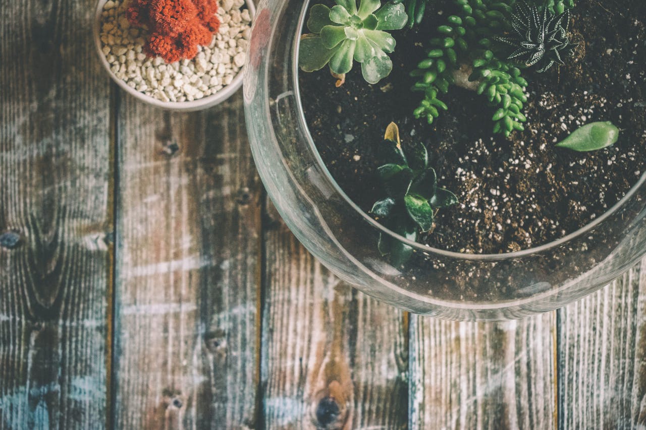 A glass terrarium with succulents placed on a rustic wooden table. Top view angle showcases earthy textures.